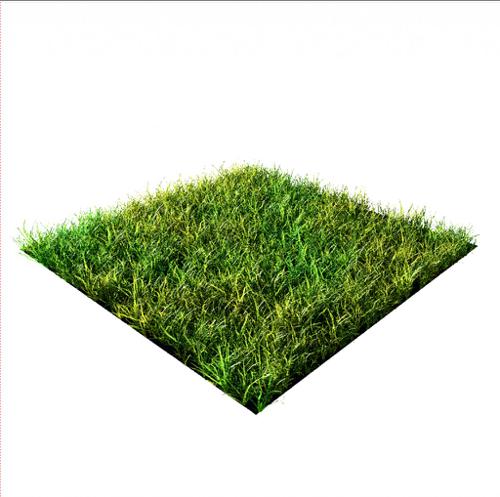 Realistic Cycles Grass Pack preview image